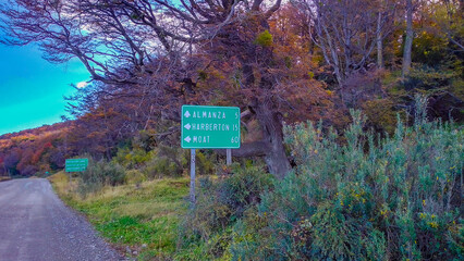 Dirt road crossing forest, tierra del fuego, argentina