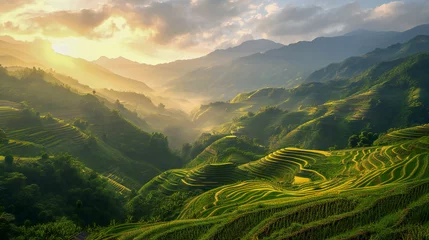 Fotobehang A beautiful scenery of green terraced fields © Adrian Grosu