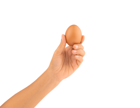 Hand holding brown chicken egg isolated on white background