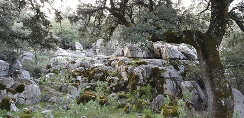 Stone wall