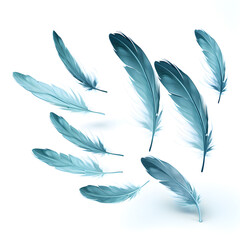 feathers flying isolated on white