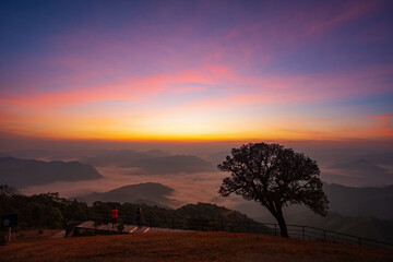  Dawn sky until the sunrise over the sea of clouds on the mountain peaks with a lonely tree at Doi Pui Co mountain in Mae Hong Son Thailand.	