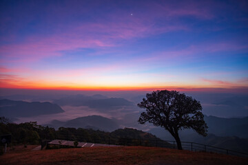  Dawn sky until the sunrise over the sea of clouds on the mountain peaks with a lonely tree at Doi Pui Co mountain in Mae Hong Son Thailand.	