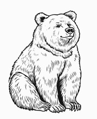 brown bear vector