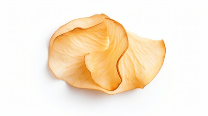 Dried slice of apple on a white background.