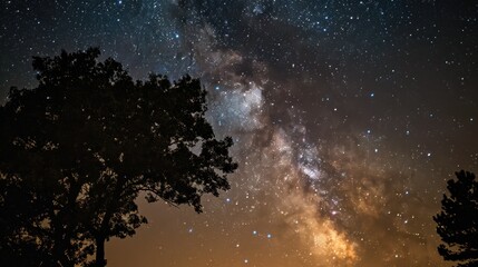 A starry sky with the Milky Way stretching above silhouetted trees, creating a heart-like shape, perfect for an astronomical Valentine's Day theme.