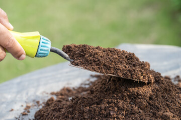 Gardener woman holding peat moss organic matter improve soil for agriculture organic plant growing,...