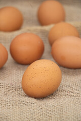 Eggs, Group of chicken eggs, Hen / chicken eggs.