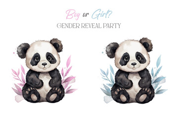 vector baby panda in watercolour style. Boy or girl gender reveal party poster. Baby shower decoration  © ValeriBaikachova