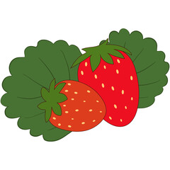 Two red yummy delicious vibrant strawberries on front of a green strawberry leaf on a white background. Fun 2D illustrations.