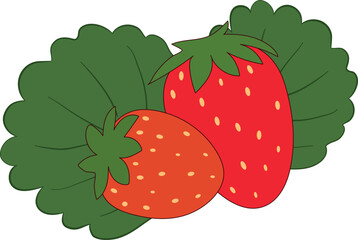 Two red yummy delicious vibrant strawberries on front of a green strawberry leaf on a white background. Fun 2D illustrations.