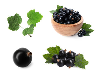 Ripe black currants and green leaves isolated on white, set