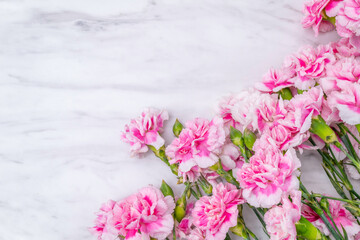 大理石のテーブルに置かれたピンクのカーネーション