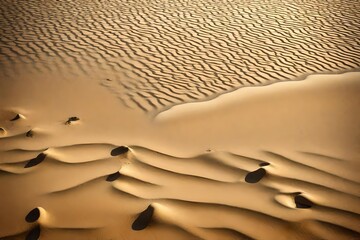 Fototapeta na wymiar Transparent PNG available Beach or desert sand cut out-
