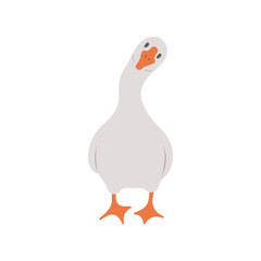 Cute farm goose. Domestic duck on white background. Agriculture bird. Village wildlife. Perfect for logo, greeting card and wrapping paper. Vector illustration in flat cartoon style.