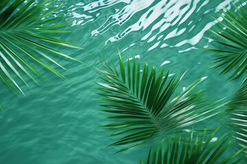 Palm leaves over water top view.