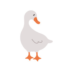 Cute farm goose. Domestic duck on white background. Agriculture bird. Village wildlife. Perfect for logo, greeting card and wrapping paper. Vector illustration in flat cartoon style.