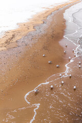 footprints on the beach