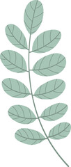  leaves. Hand drawn decorative elements