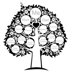 Family genealogic tree. Parents and grandparents, children.  Genealogy, pedigree.  Cartoon character. Family Tree template vector illustration