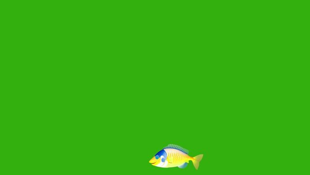 Cartoon fish. Fish swims. loop video.  