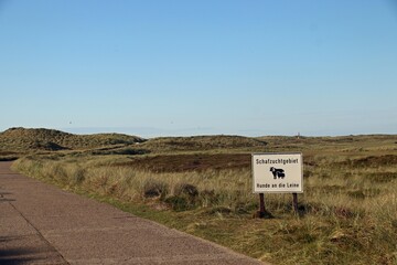 Sylt, Dünen, Ellenbogen, Schafe