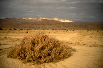 Grand Erg oriental, désert du Sahara, Tunisie