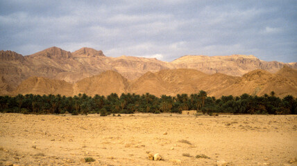 Grand Erg oriental, désert du Sahara, Tunisie