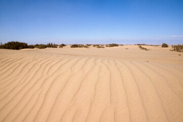 Grand Erg oriental, désert du Sahara, Tunisie