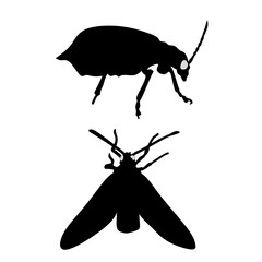 insect silhouette illustration.