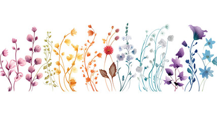 Dividers with floral design elements isolated on a white background 
