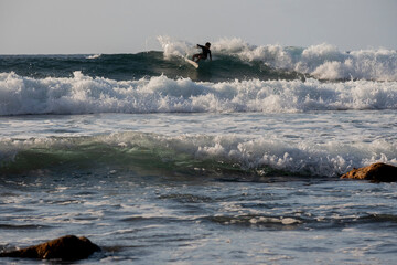 Fototapeta premium 2023-canarie-2201