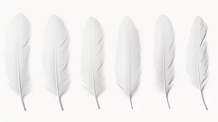 Tableaux sur verre Plumes Realistic white feathers separated on a white background