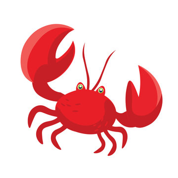 Crab. Flat vector illustration. Elements suitable for animation. 