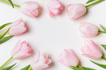 Light pink blooming tulips flowers row over white background. Spring holiday banner, frame, border,...