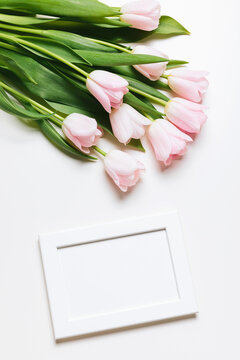Light pink blooming tulips flowers and white picture frame over white background. Spring holiday banner, happy easter card, mothers day, birthday celebration. Flat lay, top view, copy space