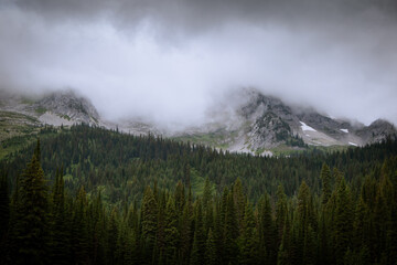 Canadian landscape, Mountains in Fernie, B.C Canada. Moody and atmospheric scene of mountains with clouds and green trees. 