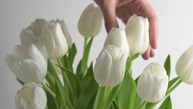 Florist corrects a bouquet of white tulips. Floristry. Florist corrects a white bouquet of flowers.