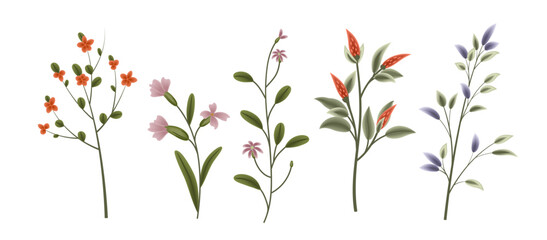 Set of plants flowers flowering branches