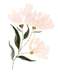 pink flower illustration pink ornament clip art illustration png watercolor 
