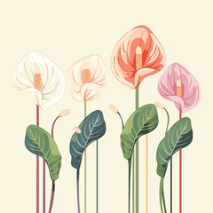 Anthurium Flowers Vector Illustration