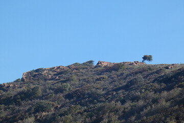 Immagini della campagna sarda