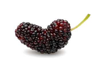 Black mulberry isolated on white background - 717991679