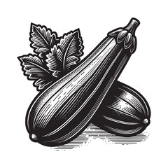 Zucchini.  Vintage engraved black illustration. Simple vector icon, logo. Line art. Isolated object