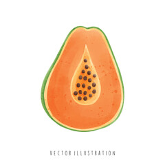Watercolor of Papaya, Hawaii Travel. Vector Illustration