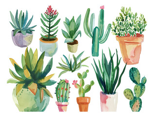 Succulent plant hand-painted watercolor elements