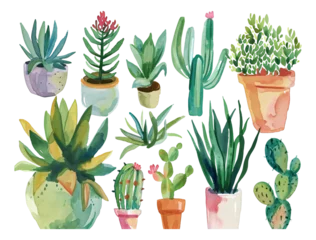 Rolgordijnen Cactus in pot Succulent plant hand-painted watercolor elements