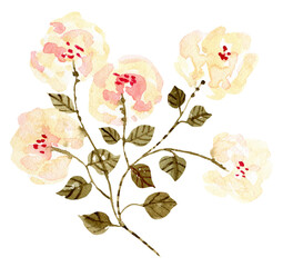 yellow flower illustration pink ornament clip art illustration transparent background png watercolor 