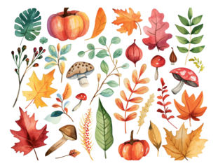 Watercolor hand-painted style autumn plants