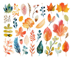 Watercolor style plant hand drawing